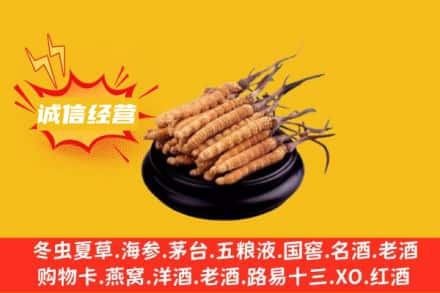忻州保德县回收冬虫夏草